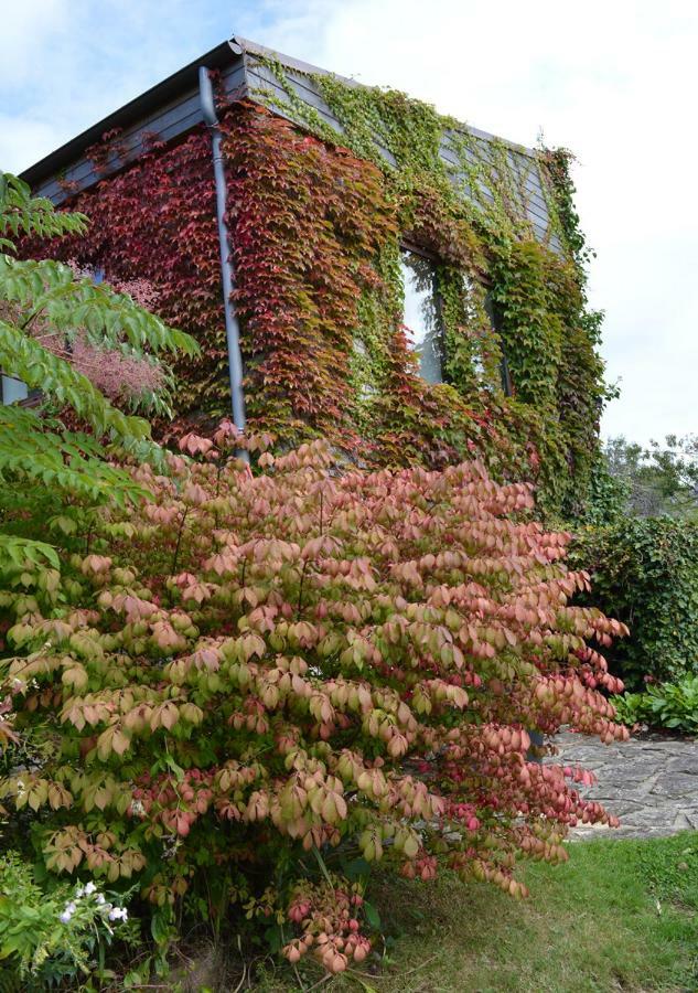 Jardin De Belle Vue Hotel Quimperlé Esterno foto
